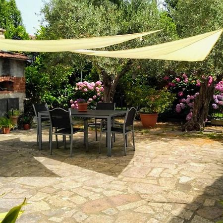 A casa di Leda Apartment Sarzana Bagian luar foto